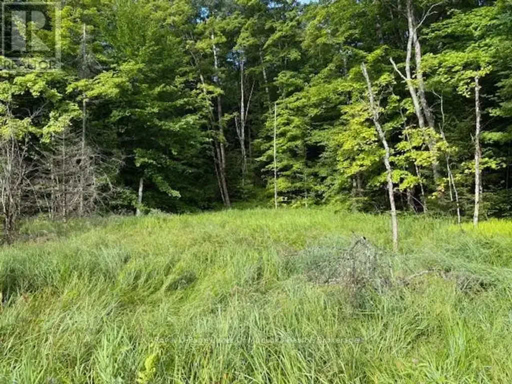 1788 Old Muskoka Road, Huntsville (Stephenson)